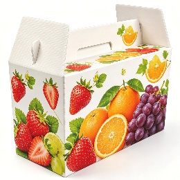 Reusable corrugated plastic box